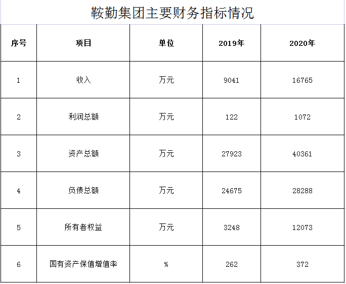 公海彩船集团2019年度-2020年度财务指标情况